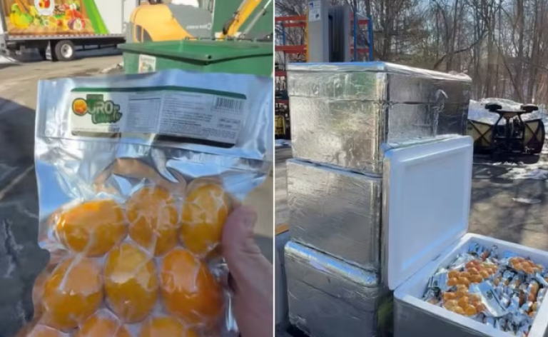 Foto: Reprodução/Redes Sociais